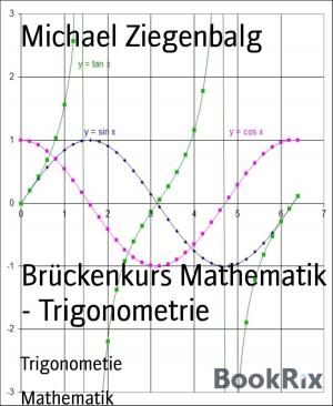 Cover of the book Brückenkurs Mathematik - Trigonometrie by Frank Schneider
