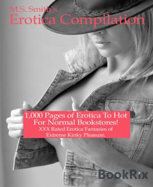 Cover of the book 1,000 Pages of Erotica Compilation by Mattis Lundqvist