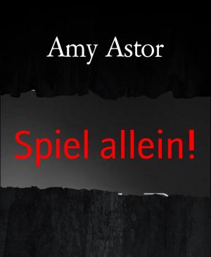 Book cover of Spiel allein!