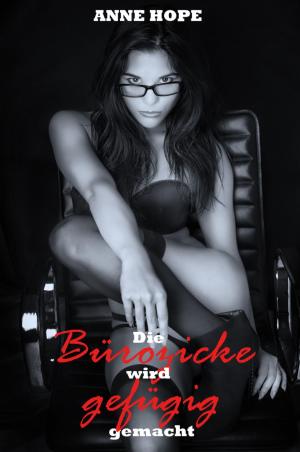 Cover of the book Die Bürozicke wird gefügig gemacht! by Catherine Lundoff