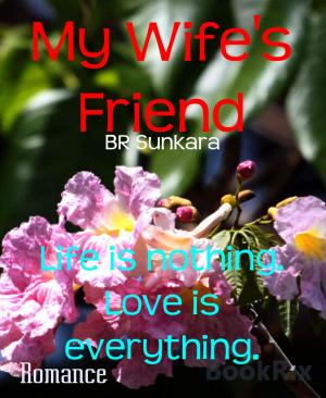 Cover of the book My Wife's Friend by H. A. Guerber