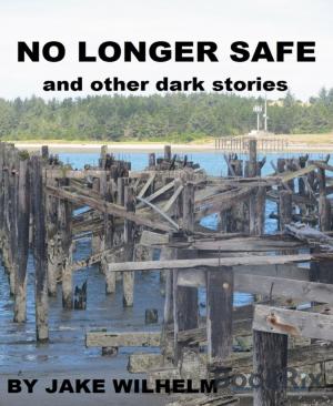 Cover of the book No Longer Safe and Other Dark Stories by Alfred J. Schindler