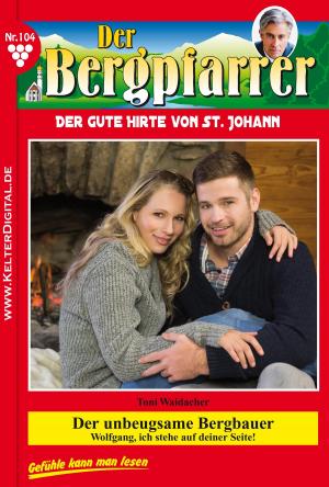 Cover of the book Der Bergpfarrer 104 – Heimatroman by Susanne Svanberg