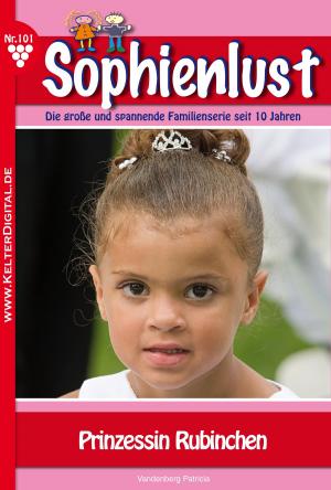 Cover of the book Sophienlust 101 – Familienroman by Britta Winckler