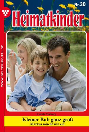 Cover of the book Heimatkinder 30 – Heimatroman by Britta Winckler