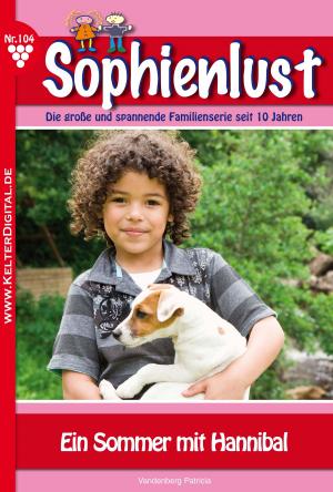 bigCover of the book Sophienlust 104 – Familienroman by 