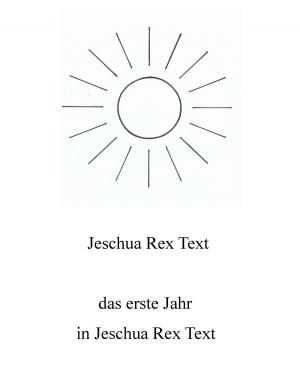 Book cover of Das erste Jahr in Jeschua Rex Text