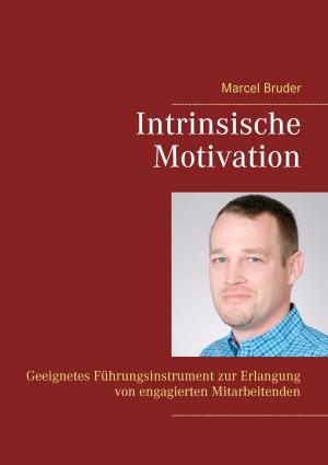 Cover of the book Intrinsische Motivation by Thomas Kirschner