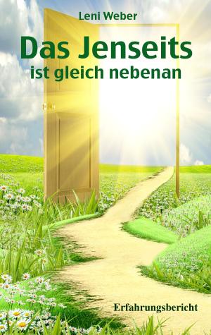 Cover of the book Das Jenseits ist gleich nebenan by Tobias Sessler