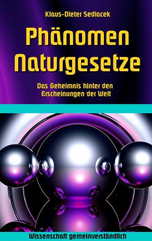Cover of the book Phänomen Naturgesetze by Helga Brehr