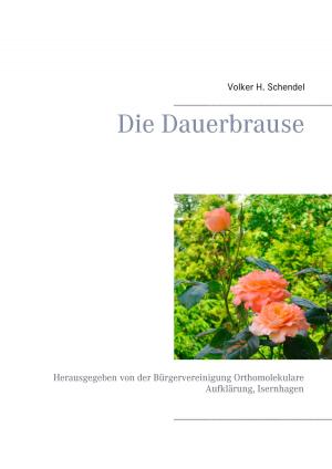 Cover of the book Die Dauerbrause by Lisa Meißner