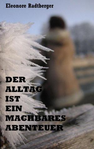 Cover of the book Der Alltag ist ein machbares Abenteuer by Michael Graf