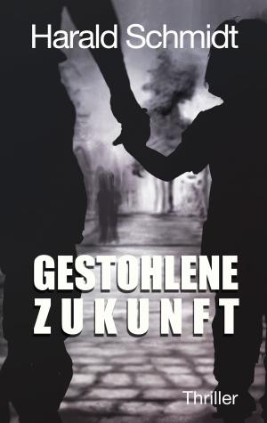 Book cover of Gestohlene Zukunft