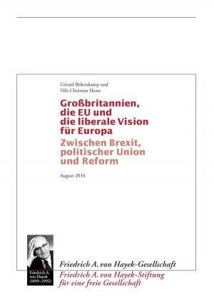 Cover of the book Grossbritannien, die EU und die liberale Vision für Europa by Andreas Ganz, Bernhard J. Schmidt