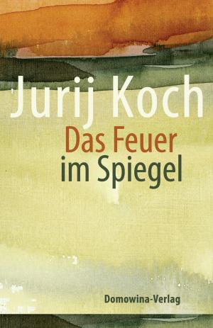 Book cover of Das Feuer im Spiegel