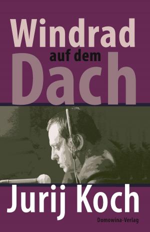 Book cover of Windrad auf dem Dach