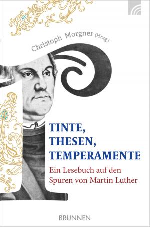 Cover of the book Tinte, Thesen, Temperamente by Ursula Schröder