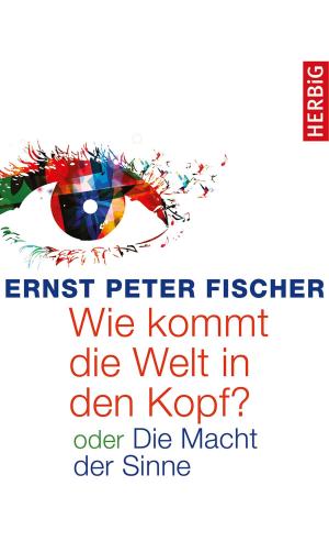 Cover of the book Wie kommt die Welt in den Kopf? by Arabelle Bernecker, Susanne Glass, Bernd Kolb