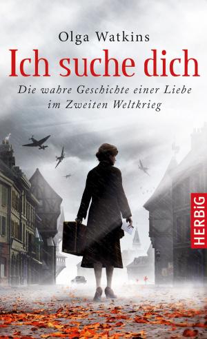Cover of the book Ich suche dich by Wolfgang Schmidbauer