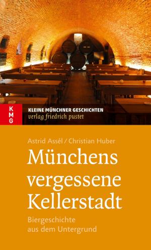 Book cover of Münchens vergessene Kellerstadt