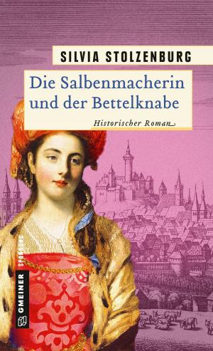 Cover of the book Die Salbenmacherin und der Bettelknabe by Heike Meckelmann