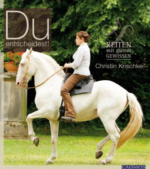 Cover of the book Du entscheidest! by Marlitt Wendt