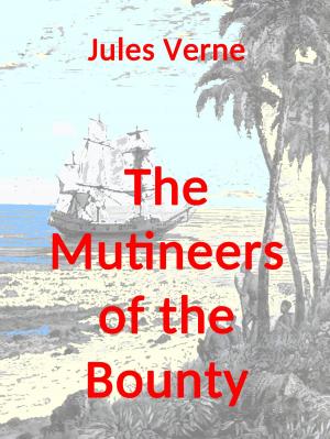 Cover of the book The Mutineers of the Bounty by Friedrich Schiller