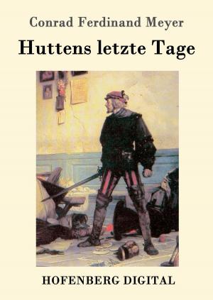 Cover of the book Huttens letzte Tage by Theodor Storm