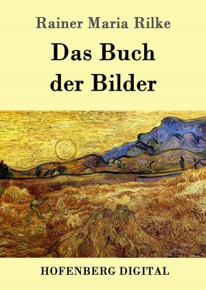 Book cover of Das Buch der Bilder
