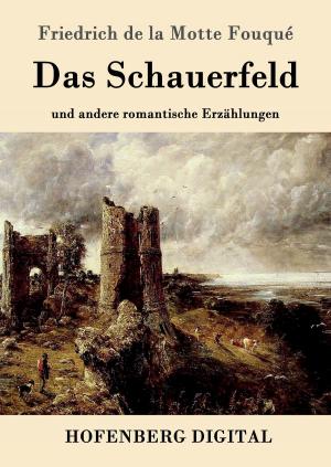 Cover of the book Das Schauerfeld by René Descartes
