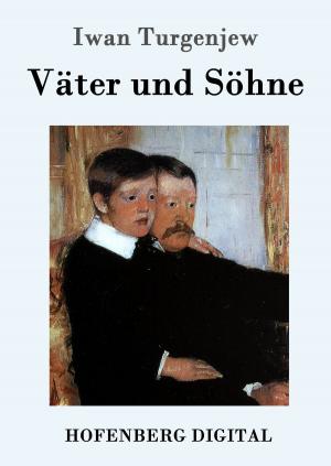 Cover of the book Väter und Söhne by Wilhelm Hauff