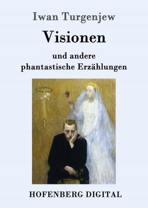 Cover of the book Visionen by Adalbert Stifter