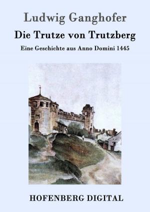 Cover of the book Die Trutze von Trutzberg by Else Lasker-Schüler