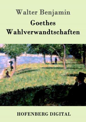 Cover of the book Goethes Wahlverwandtschaften by Mark Aurel