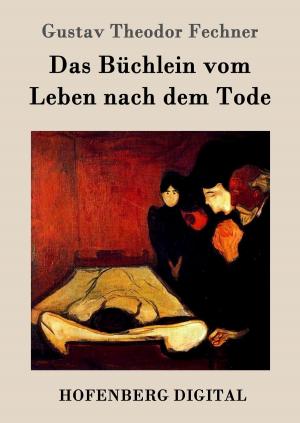 Cover of the book Das Büchlein vom Leben nach dem Tode by Lou Andreas-Salomé