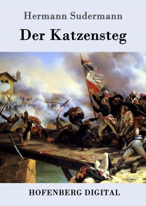Book cover of Der Katzensteg