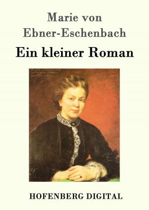 Cover of the book Ein kleiner Roman by Frank Wedekind