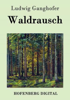 Cover of the book Waldrausch by Ödön von Horváth