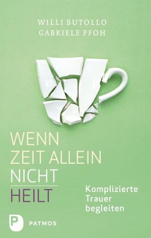 Cover of the book Wenn Zeit allein nicht heilt by Paul Lebeau