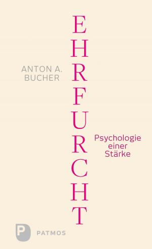 Cover of the book Ehrfurcht by Hubertus Halbfas