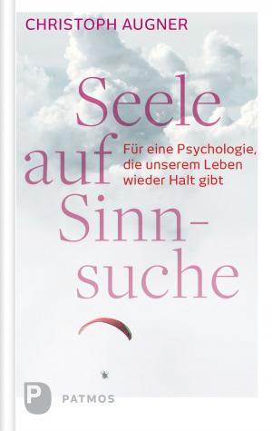 Cover of the book Seele auf Sinnsuche by Verena Kast