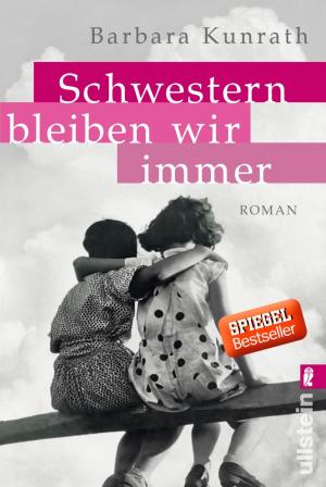 Cover of the book Schwestern bleiben wir immer by Jo Nesbø