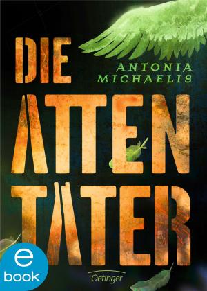 Cover of the book Die Attentäter by Kirsten Boie, Katrin Engelking
