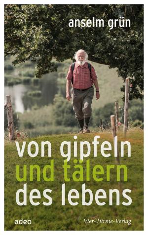Cover of the book Von Gipfeln und Tälern des Lebens by Andreas Knapp