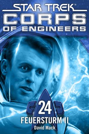 Cover of the book Star Trek - Corps of Engineers 24: Feuersturm 2 by Christopher Golden