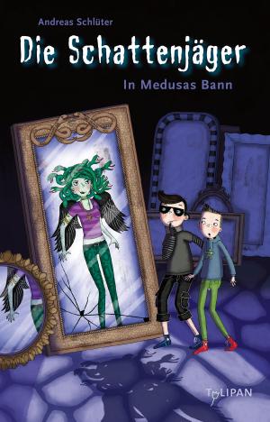 Cover of the book Die Schattenjäger - In Medusas Bann by Martin Klein