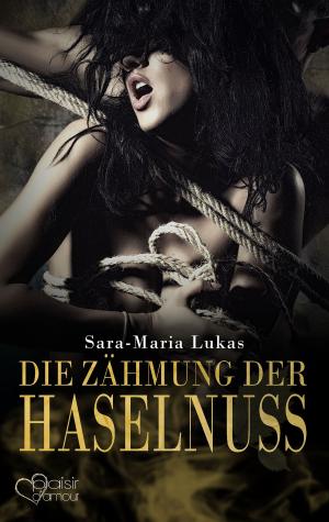 Book cover of Hard & Heart 3: Die Zähmung der Haselnuss