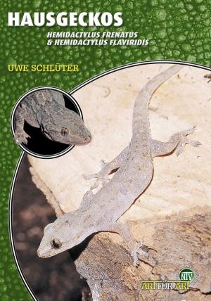 Cover of the book Hausgeckos by June Summers