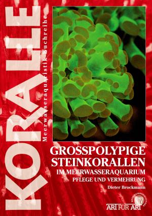 Cover of Grosspolypige Steinkorallen im Meerwasseraquarium