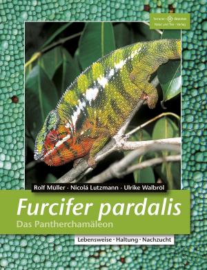 Cover of Furcifer pardalis